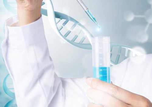 深圳医院做试管婴儿要体检吗？男性弱精可不可以做试管婴儿？ ...